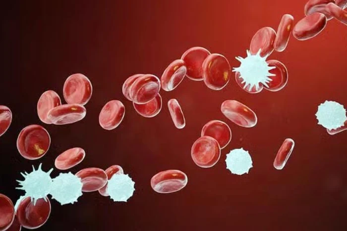Phát hiện gene gây kháng thuốc trong điều trị ung thư máu