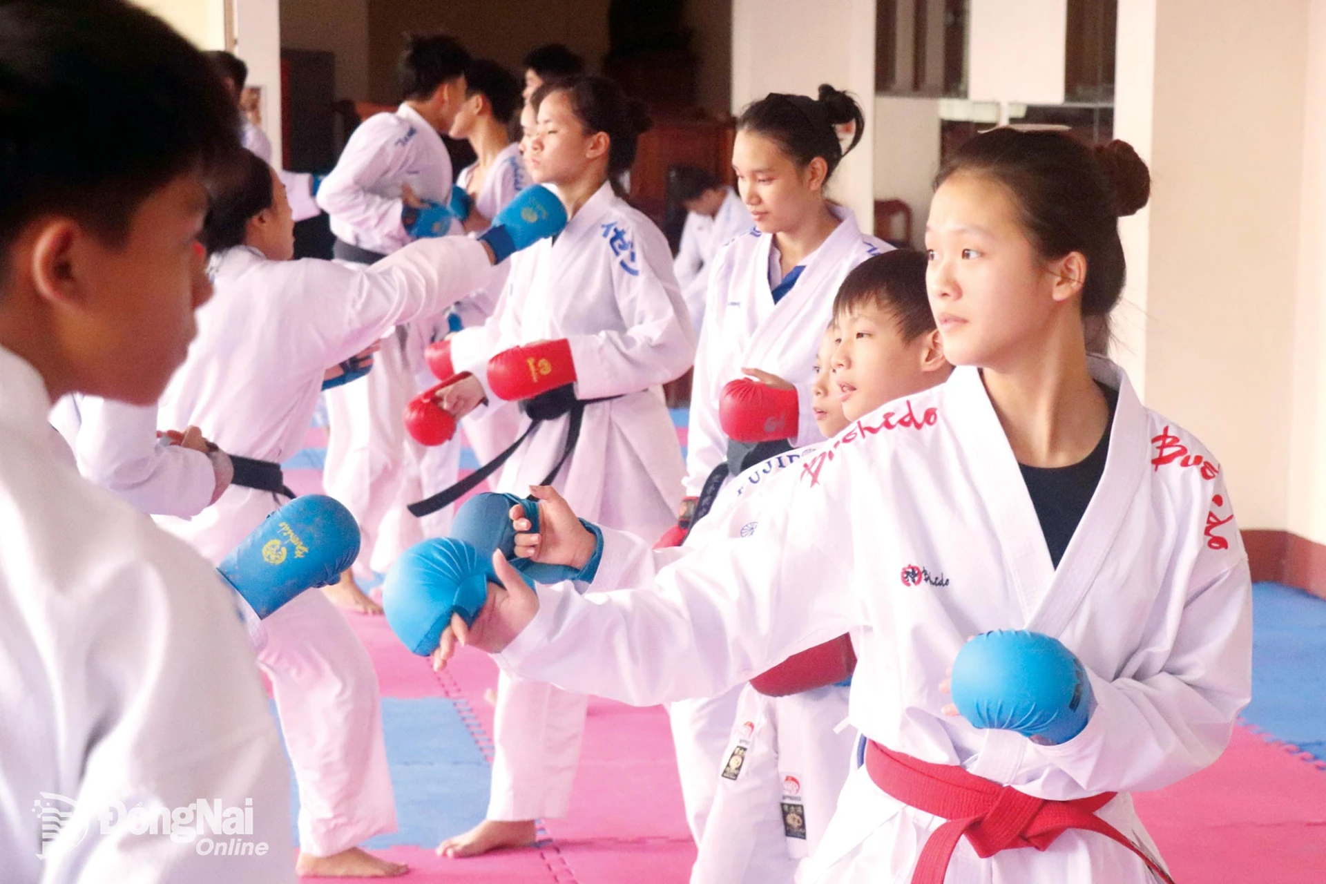 Vận động viên karate Nguyễn Ngọc Thảo Vy 
hiện là học sinh lớp 12.

