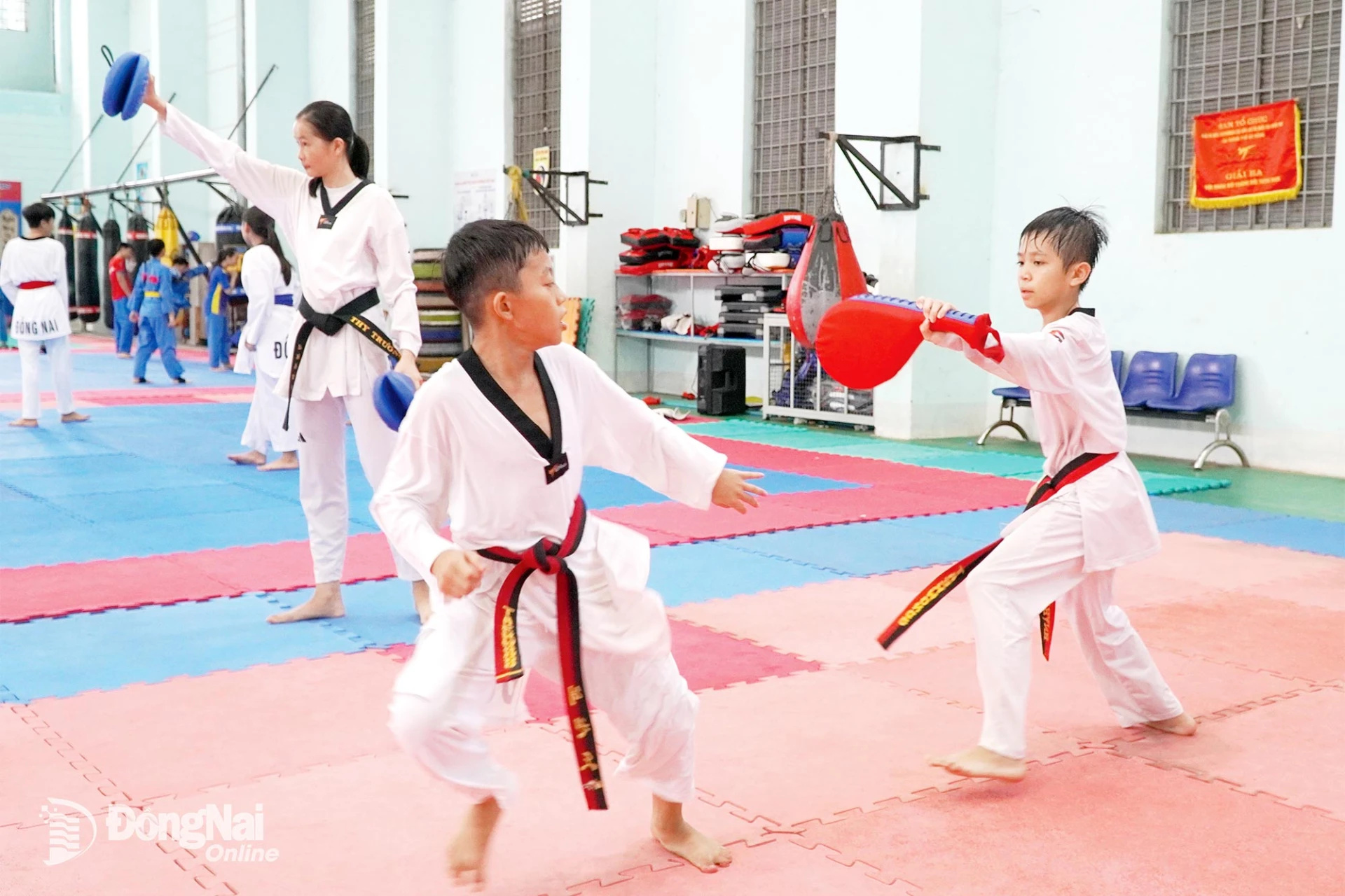 Vận động viên môn võ taekwondo trong giờ luyện tập.
