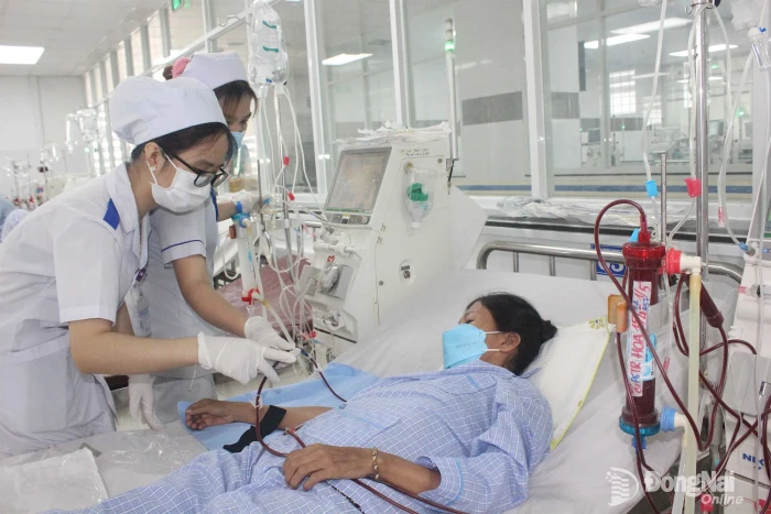 Bảo vệ thận từ những điều rất nhỏ
