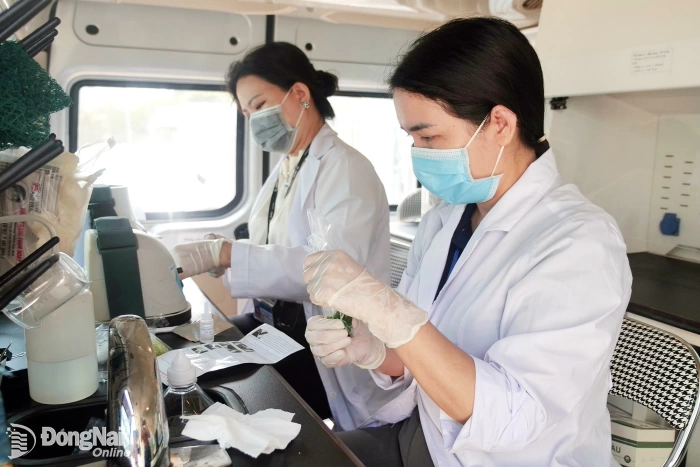 Food safety management in a modern urban area