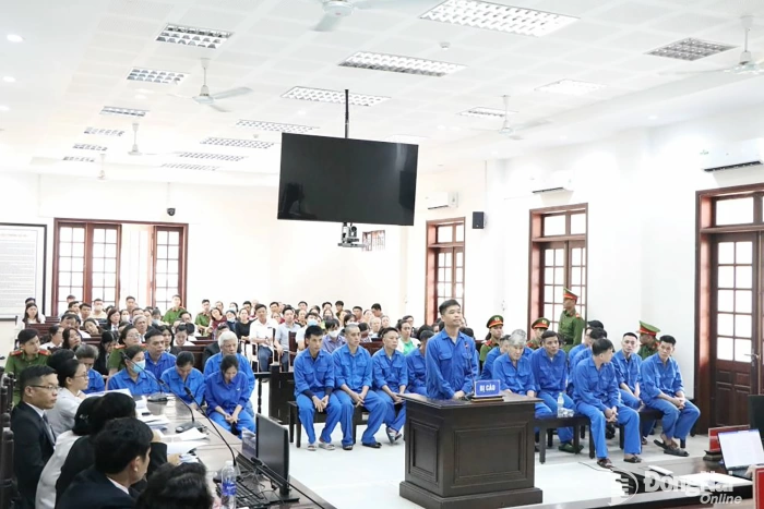 Sai phạm về kết luận giám định tâm thần: Các bị cáo thừa nhận hành vi phạm tội