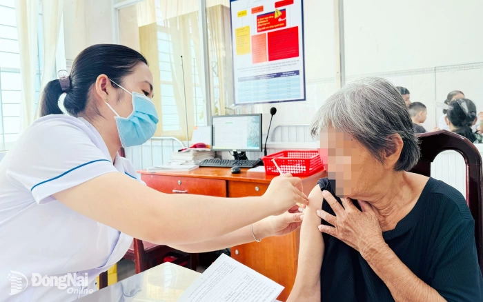 Ðừng chủ quan khi bị chó, mèo cắn, cào