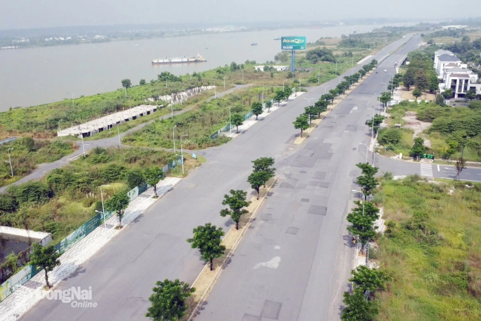 Giá đất nông nghiệp bình quân tại 3 phường, xã: Long Hưng, Tam Phước, An Phước khoảng 3 tỷ đồng/ha