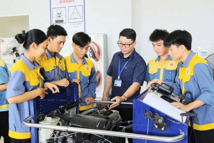 Xác định cơ sở giáo dục nghề nghiệp để sắp xếp