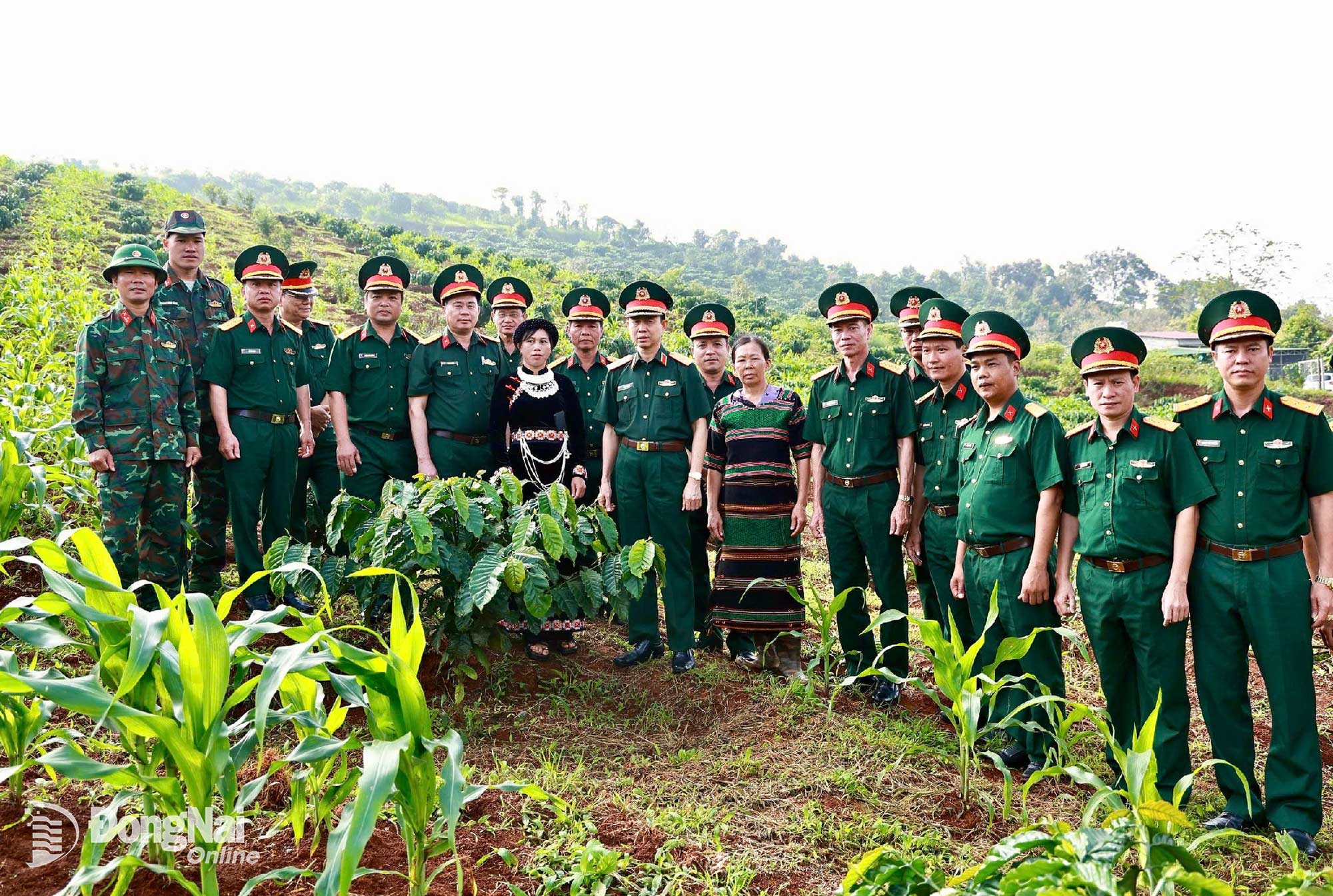 Đoàn công tác kiểm tra công tác tái canh trồng mới cây Cà phê. 