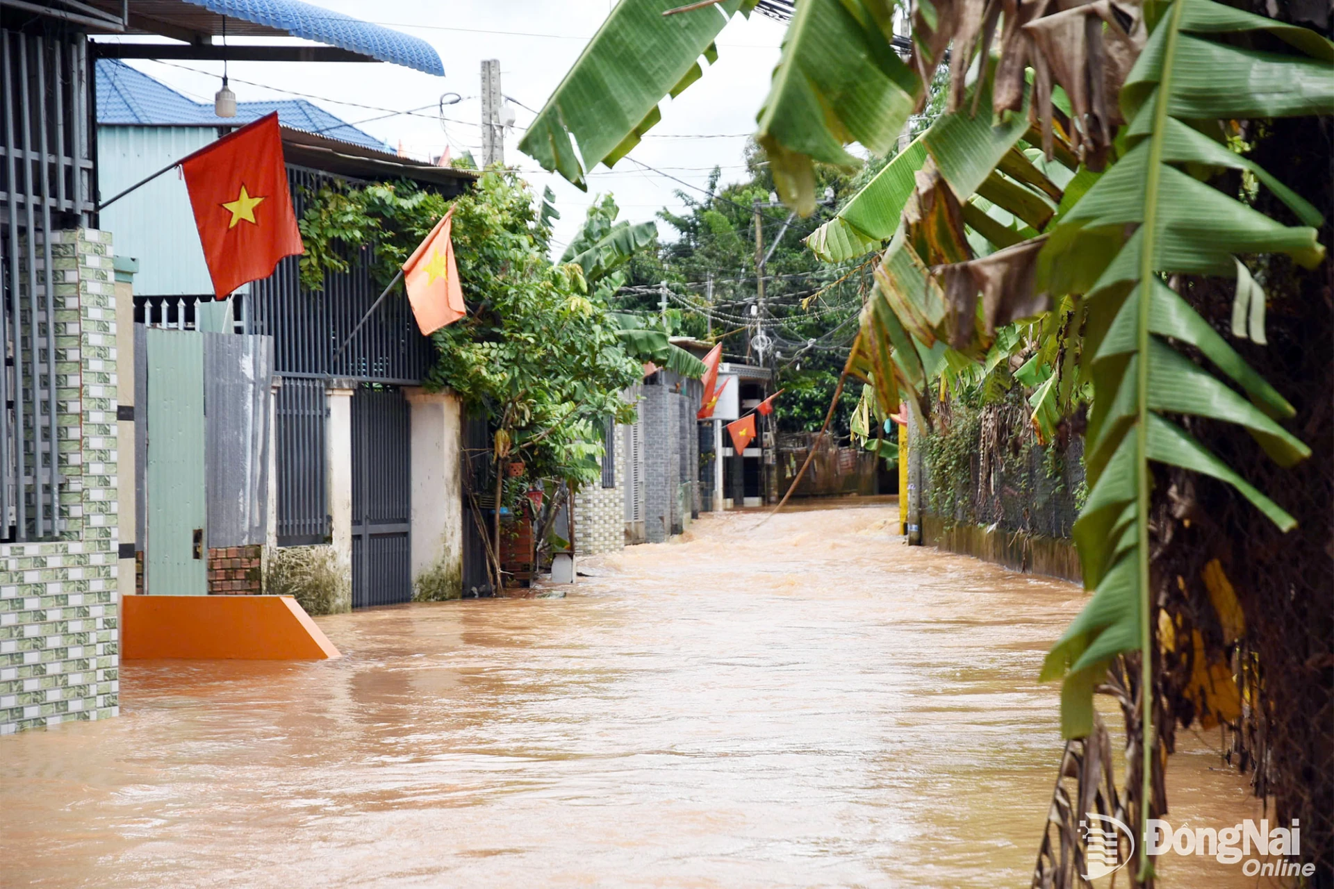 Nước sông Buông dâng cao gây ngập làm ảnh hưởng khoảng 150 hộ dân tại phường Phước Tân. Ảnh: Phạm Tùng