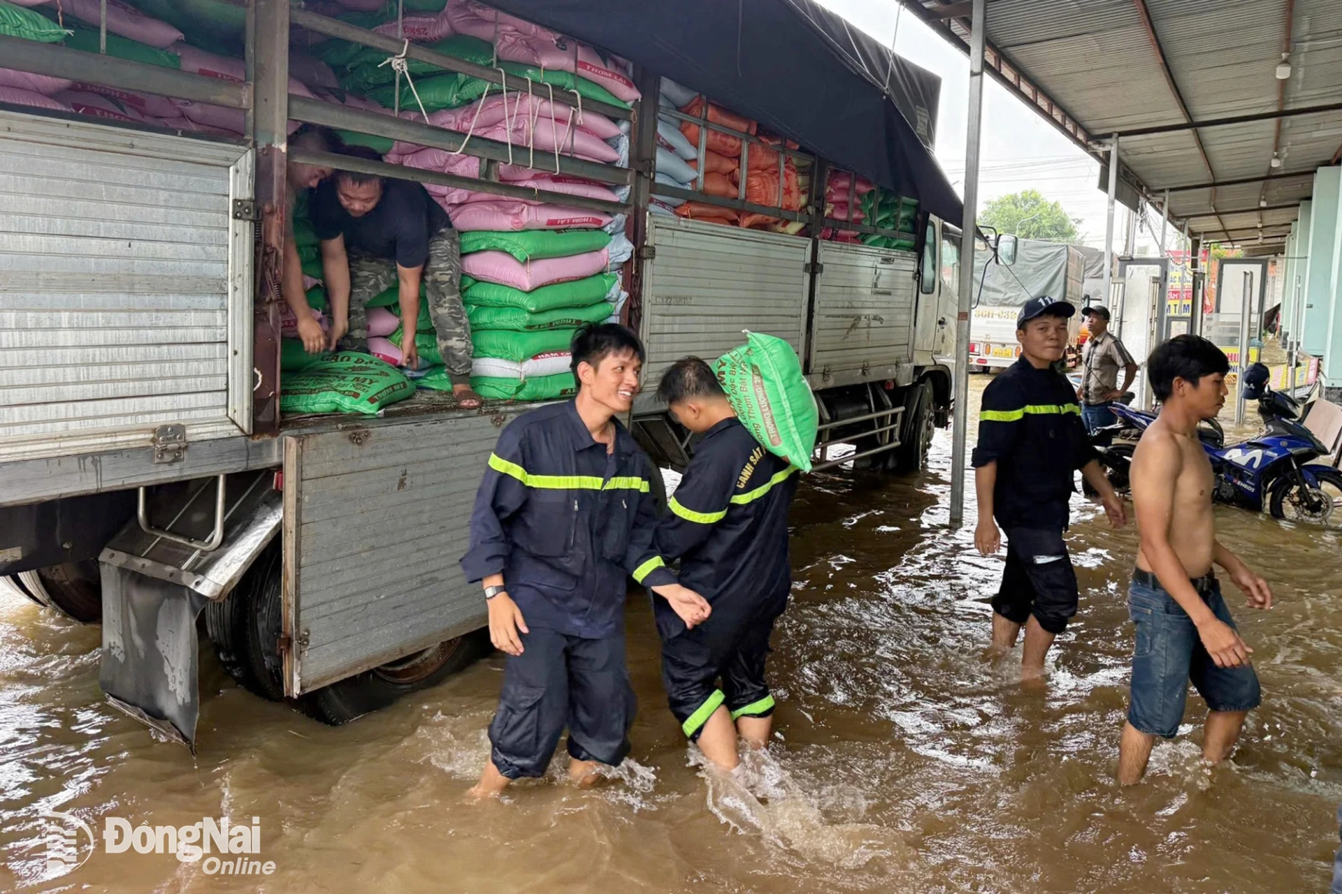 Đội Chữa cháy và cứu nạn, cứu hộ Khu vực 5, Phòng Cảnh sát phòng cháy, chữa cháy, và cứu nạn, cứu hộ hỗ trợ người dân di chuyển gạo tại xã Bình Minh. Ảnh: CTV