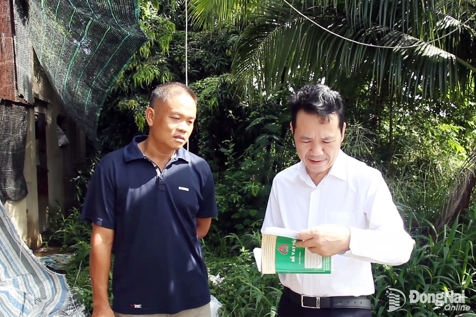 Ông Hoàng Minh Tế, Phó Tổng giám đốc Ngân hàng chính sách xã hội Việt Nam khảo sát thực tế khách hàng vay vốn phát triển sản xuất nông nghiệp tại xã Thống Nhất. Ảnh CTV