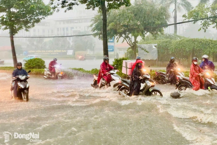 Lũ trên sông Đồng Nai ở mức báo động 2, cảnh báo ngập lụt một số khu vực
