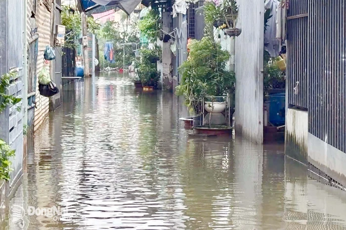 Cảnh báo nhiều khu vực có nguy cơ ngập do lũ và triều cường