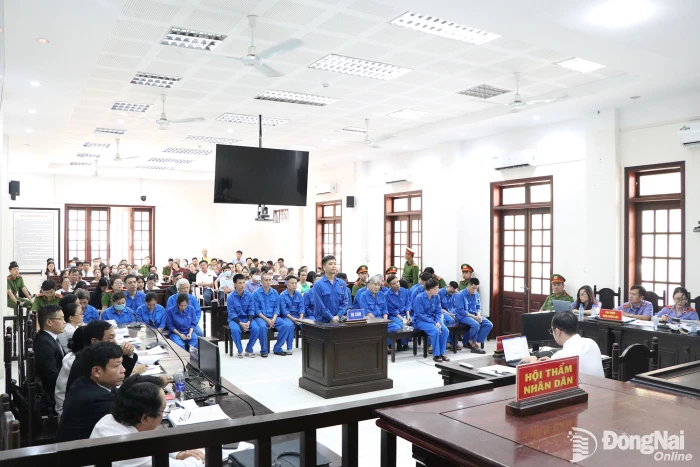 Tuyên án các bị cáo làm sai hồ sơ bệnh án tâm thần