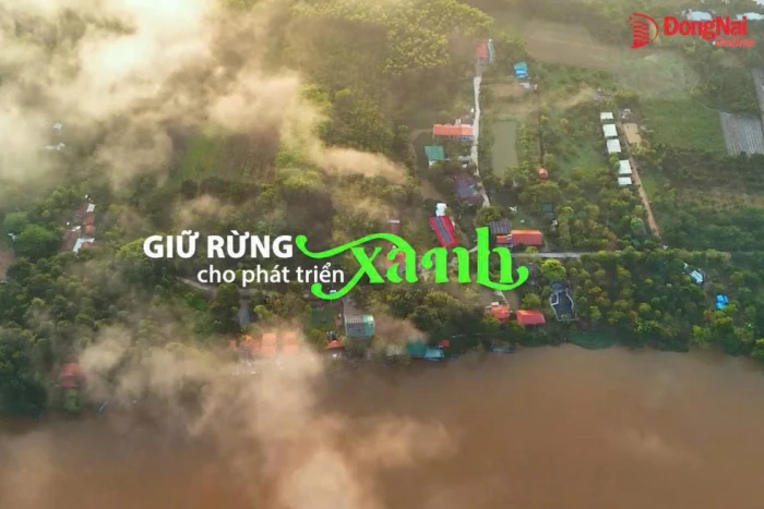 [Video] Giữ rừng cho phát triển xanh