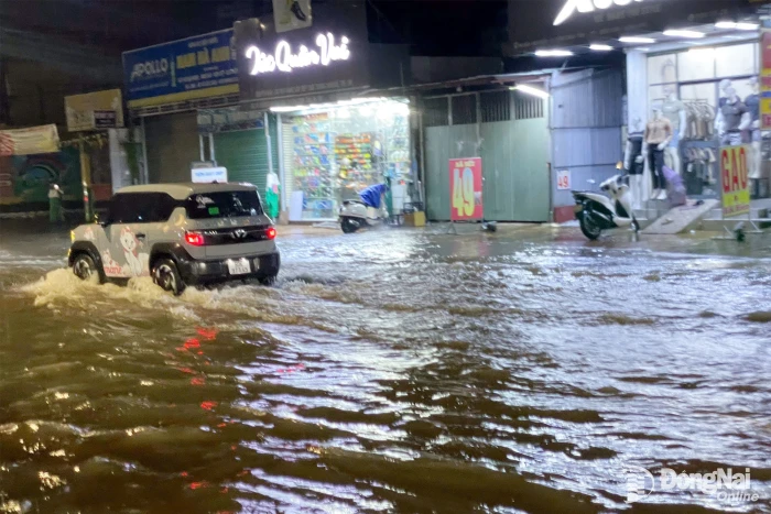 Dự báo tiếp tục có mưa lớn nhiều nơi tại Đồng Nai