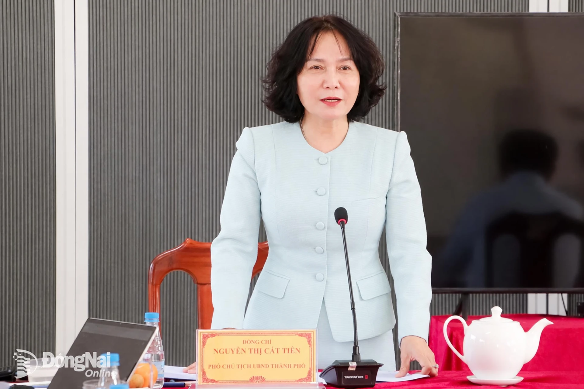 Thành ủy viên, Phó Chủ tịch UBND thành phố Nguyễn Thị Cát Tiên phát biểu tại buổi làm việc. Ảnh: Phạm Tùng