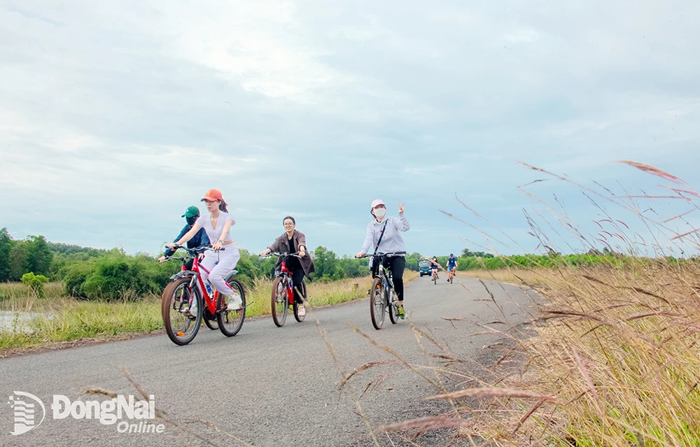 Khách du lịch đạp xe ven hồ Trị An, điểm du lịch trên địa bàn H.Vĩnh Cửu. Ảnh: V.Linh