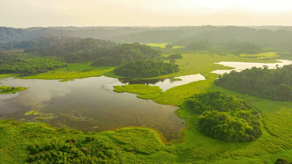 Bàu Sấu là khu đất ngập nước nằm trong vùng lõi rừng, được công nhận khu Ramsar thế giới vào năm 2005. Ảnh: GIZ | Bình Đặng