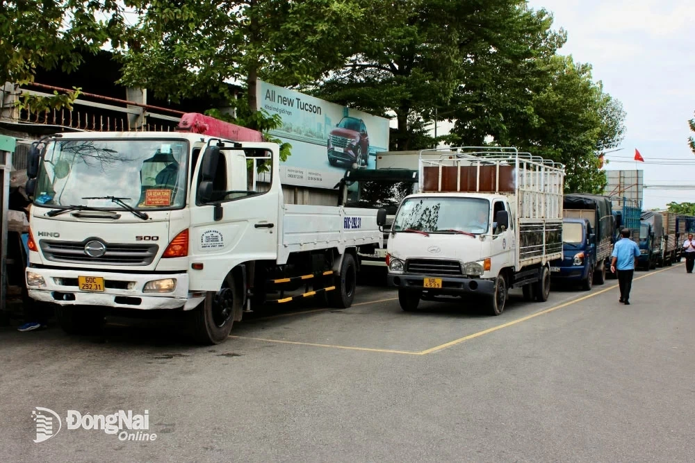 Nhiều loại xe xếp hàng bên trong Trung tâm Đăng kiểm xe cơ giới 60-01S (TP.Biên Hòa) chờ tới lượt đăng kiểm. Ảnh: Thu Hà