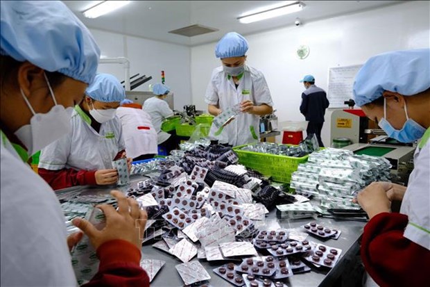 Vietnam’s pharmaceutical industry is expected to be on par with that of advanced countries in the region. (Photo: VNA)
