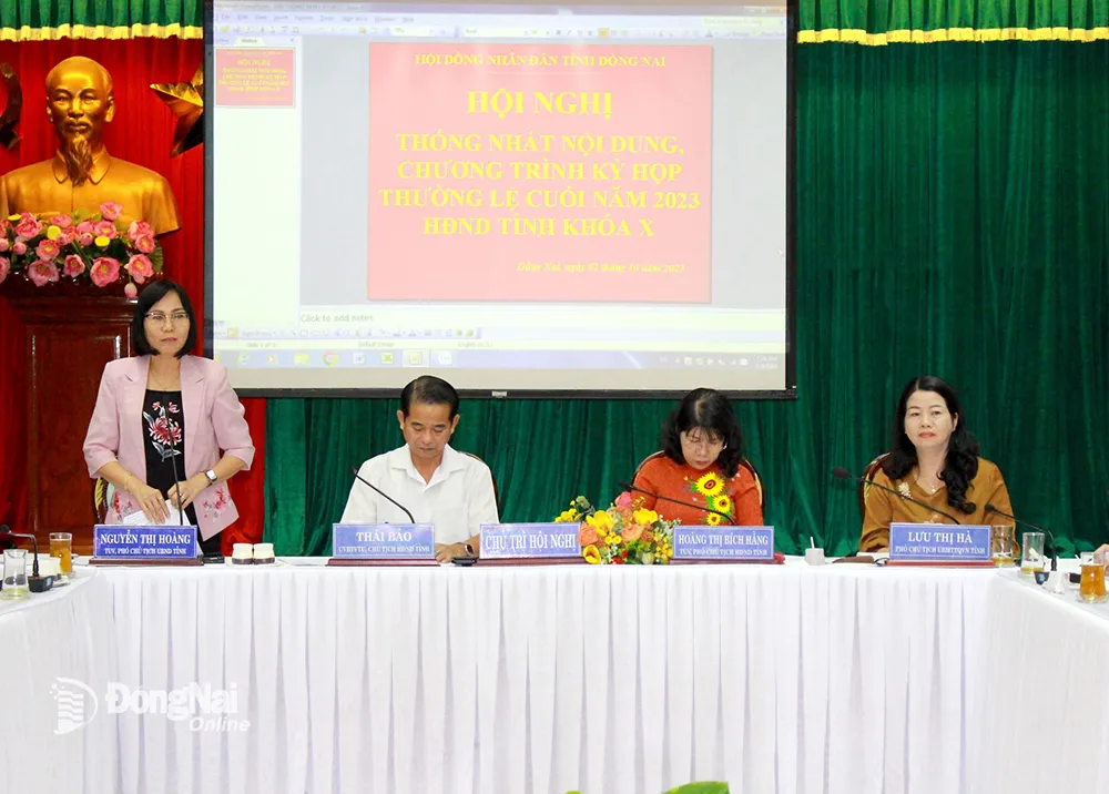 Phó chủ tịch UBND tỉnh Nguyễn Thị Hoàng phát biểu tại hội nghị