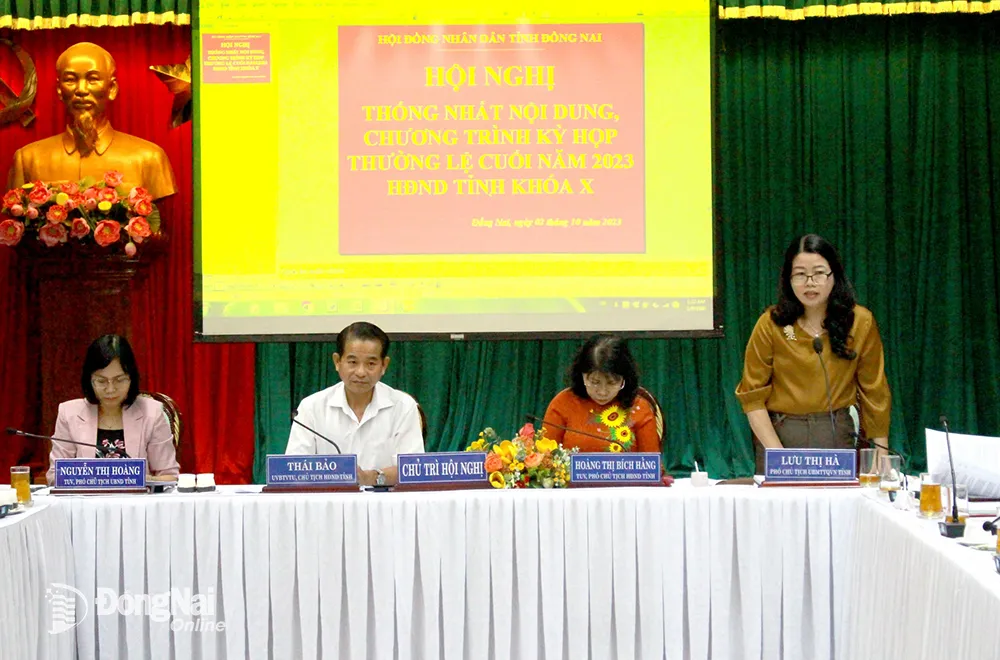 Phó chủ tịch Ủy ban MTTQ Việt Nam tỉnh Lưu Thị Hà phát biểu tại hội nghị