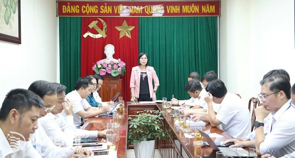 Phó chủ tịch UBND tỉnh Nguyễn Thị Hoàng phát biểu kết luận buổi làm việc. Ảnh: Phạm Tùng