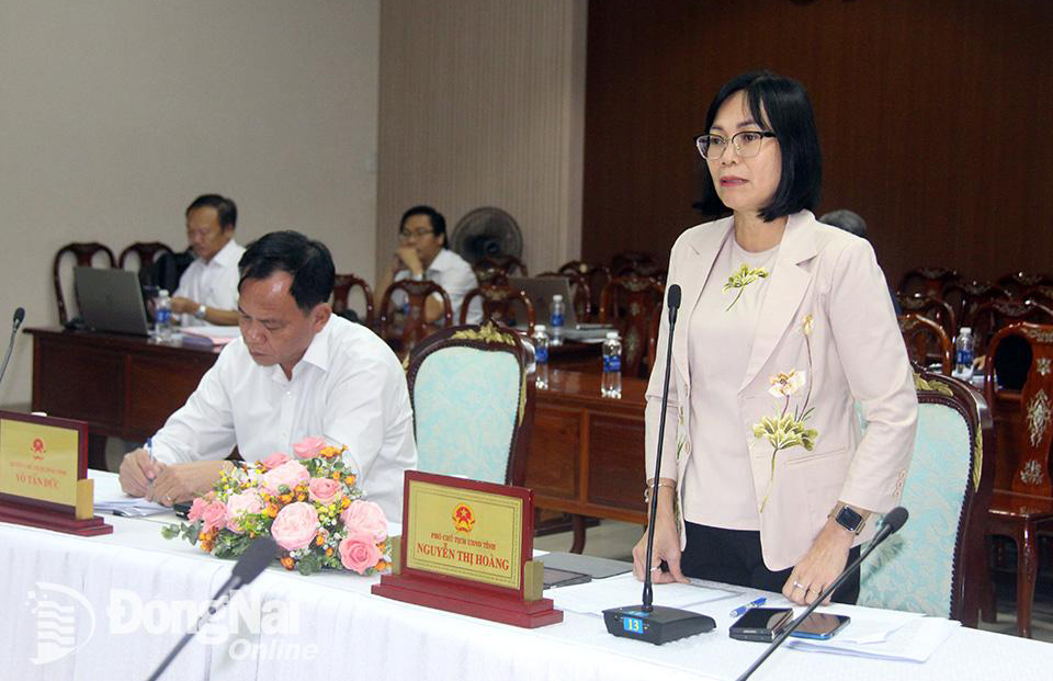 Phó chủ tịch UBND tỉnh Nguyễn Thị Hoàng chia sẻ ý kiến tại buổi làm việc