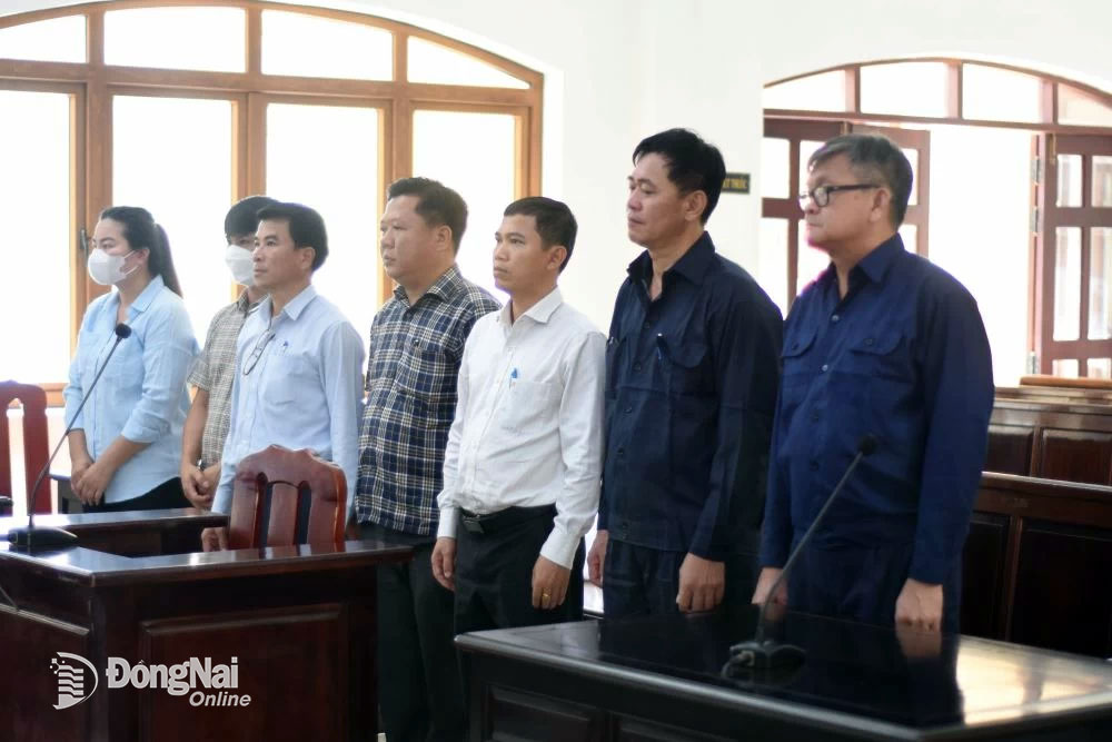 Tiếp tục hoãn phiên tòa phúc thẩm xét xử vụ lấy đất công cấp cho tư nhân ở xã Bình Sơn do vắng mặt bị hại và giám định viên