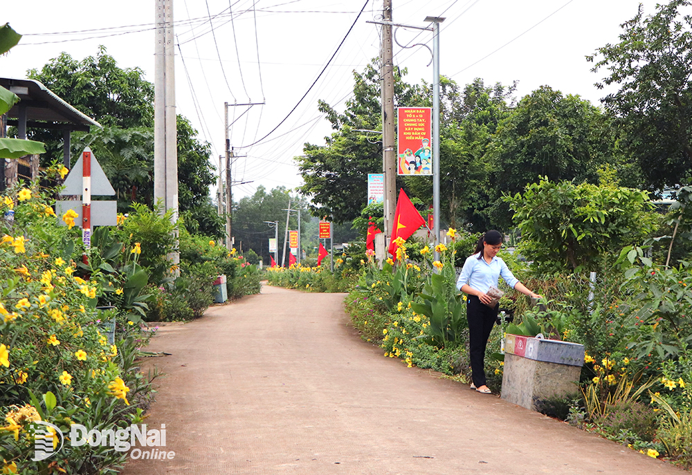 Đường kiểu mẫu ấp 5, xã Vĩnh Tân (huyện Vĩnh Cửu). Ảnh: N.Liên