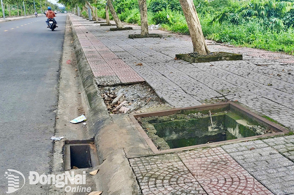 Nhiều nắp cống trên đường Lý Nam Đế (huyện Trảng Bom) bị mất