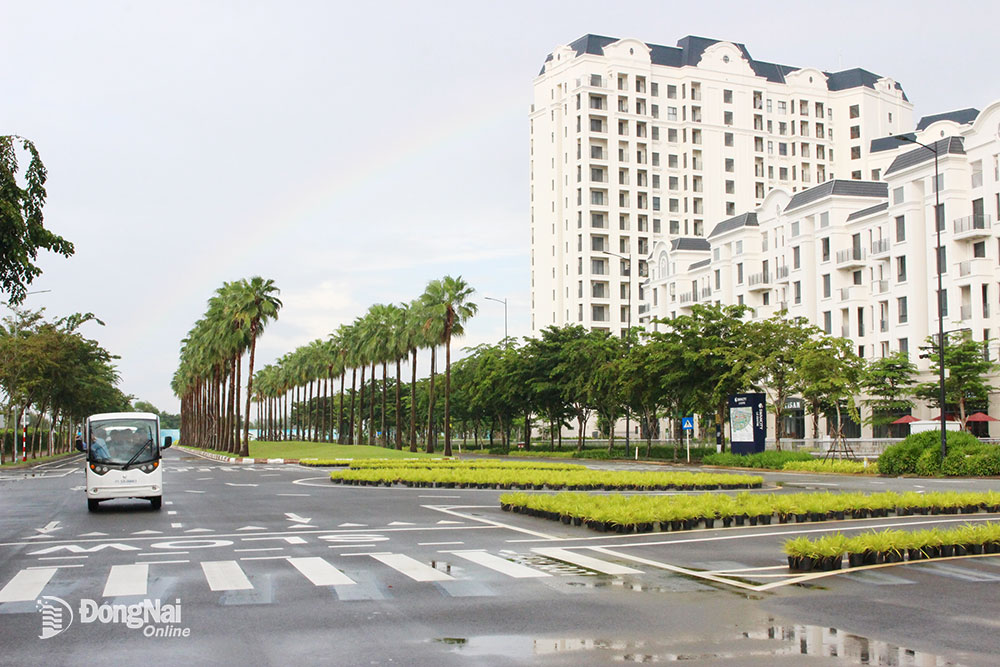 Gấp rút đưa Luật Đất đai năm 2024 vào thực tiễn