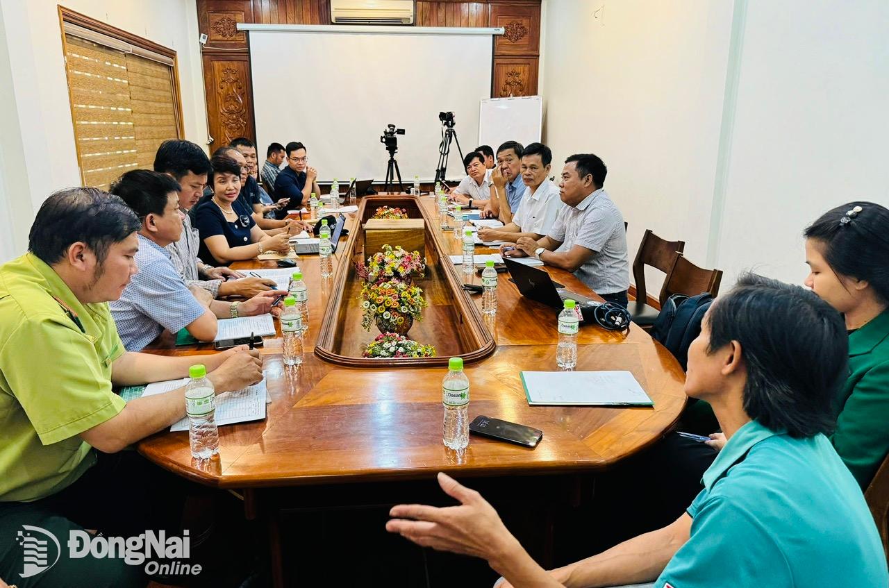 Các cá thể hổ tại Khu du lịch Vườn Xoài tại Đồng Nai bị chết có thể do lây dịch từ Vườn thú Mỹ Quỳnh ở Long An