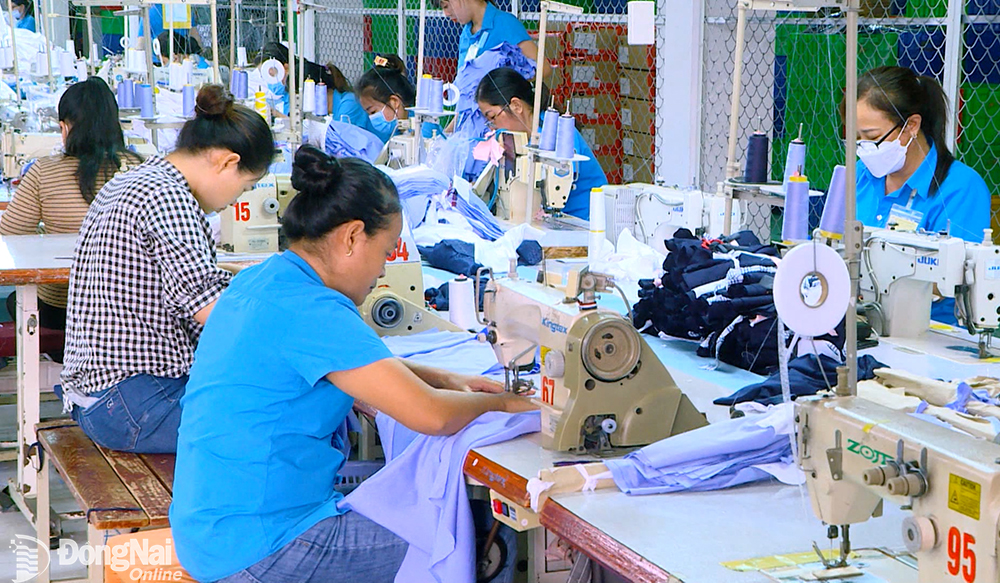 Kinh tế giữ nhịp phục hồi và tăng trưởng