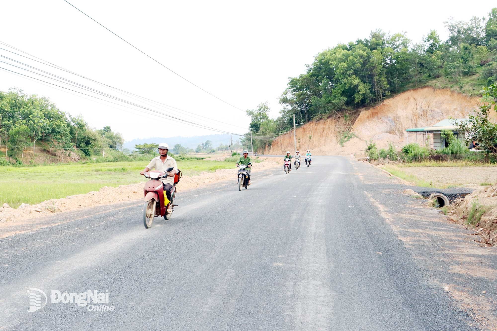 A rural road in Phuoc Son commune, Dong Nai province. Photo: Archives