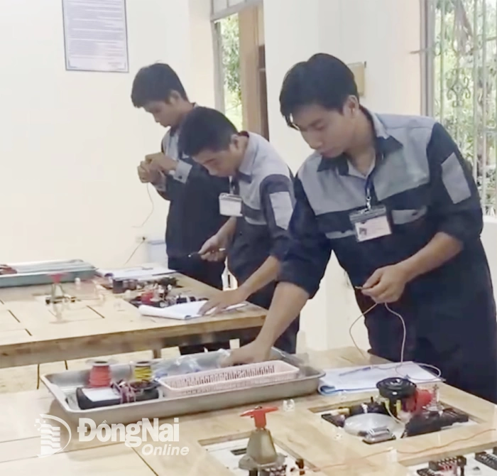 Hướng nghiệp cùng AI: Thêm cách làm hay trong phân luồng học sinh