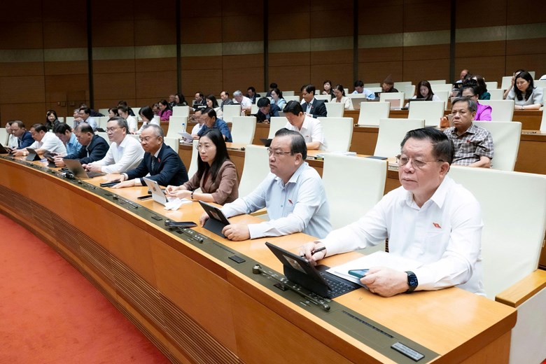 Đại biểu tham dự Phiên họp