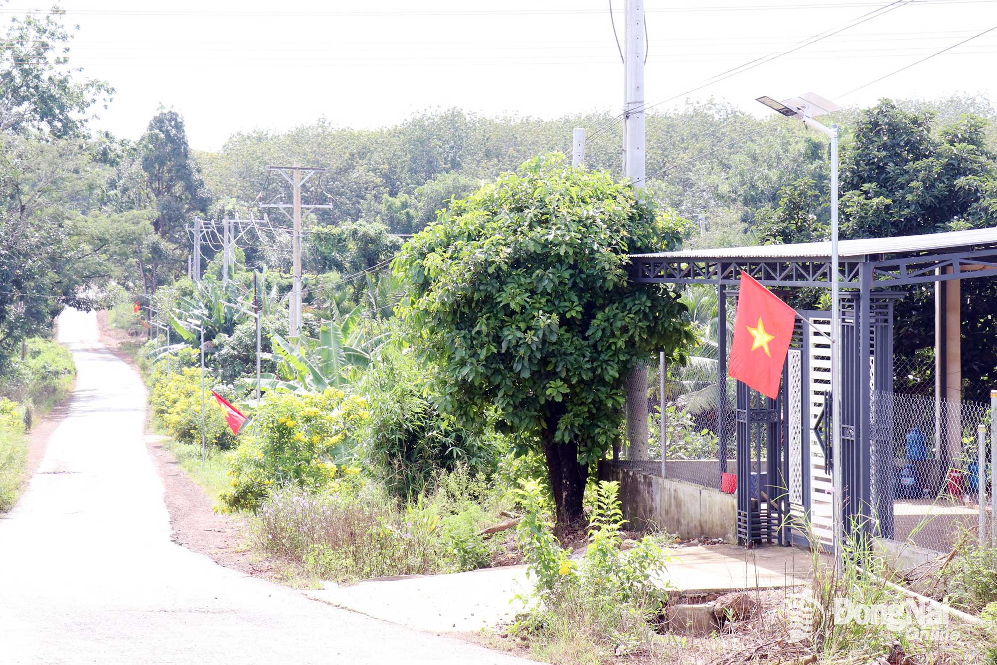 Tuyến đường chiếu sáng góp phần đảm bảo an toàn giao thông và làm thay đổi diện mạo khu dân cư. Ảnh: Ngọc Huyền