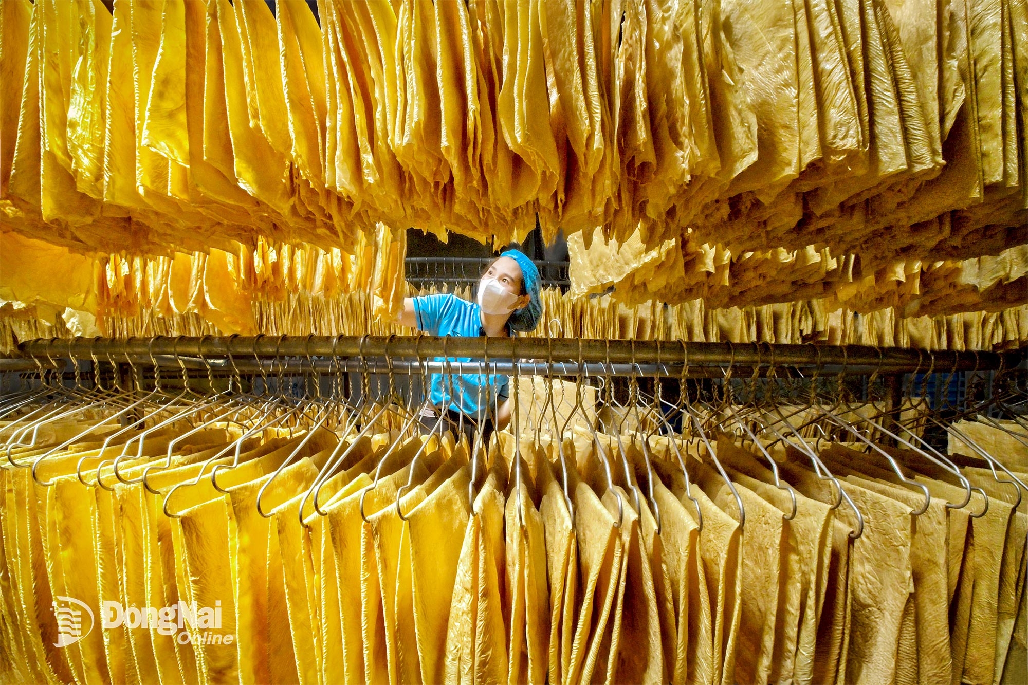 Phơi bột. Ảnh: Nguyễn Tuấn Nhựt