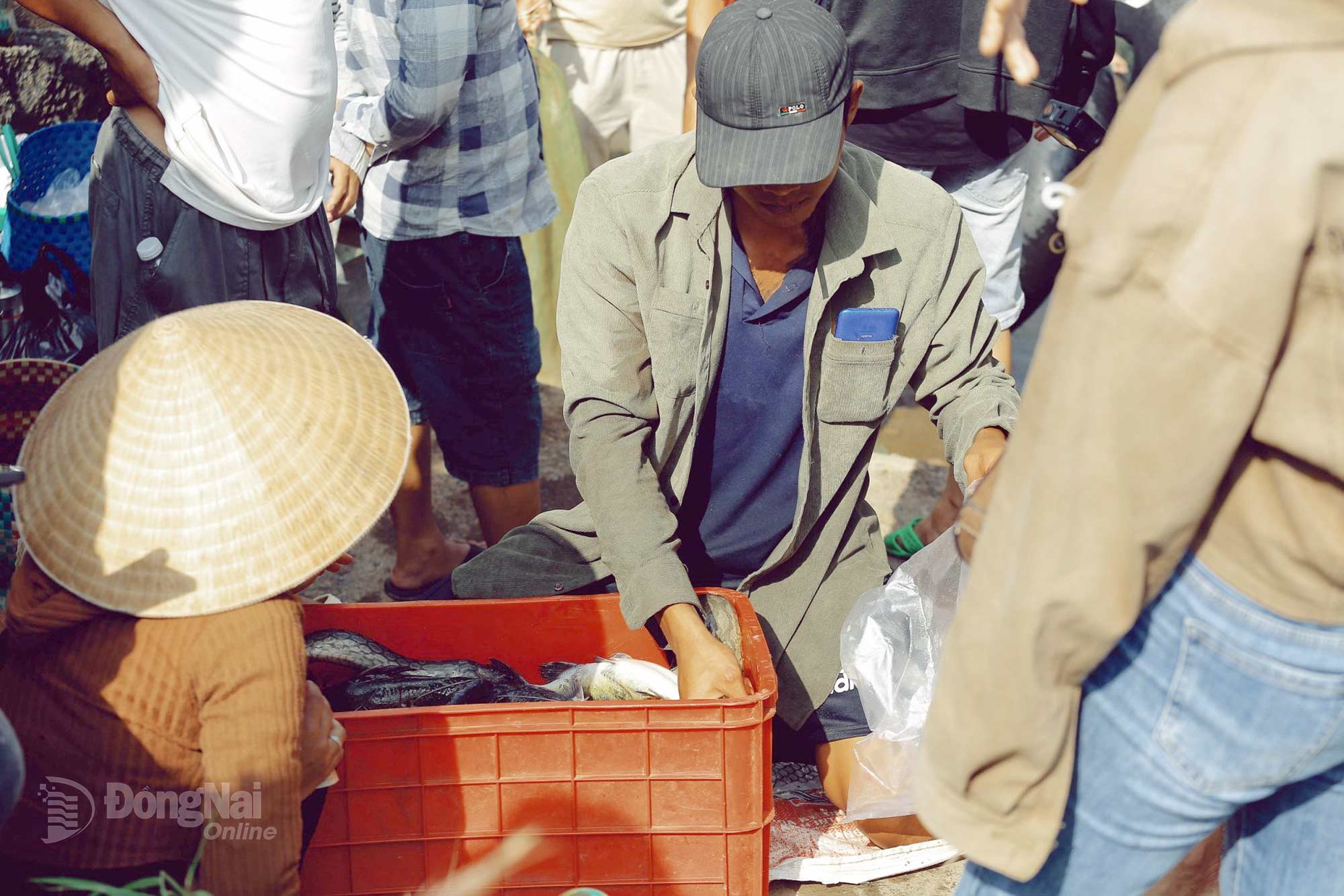 The freshly caught fish are immediately purchased by waiting traders. Photo: Thuy Tien