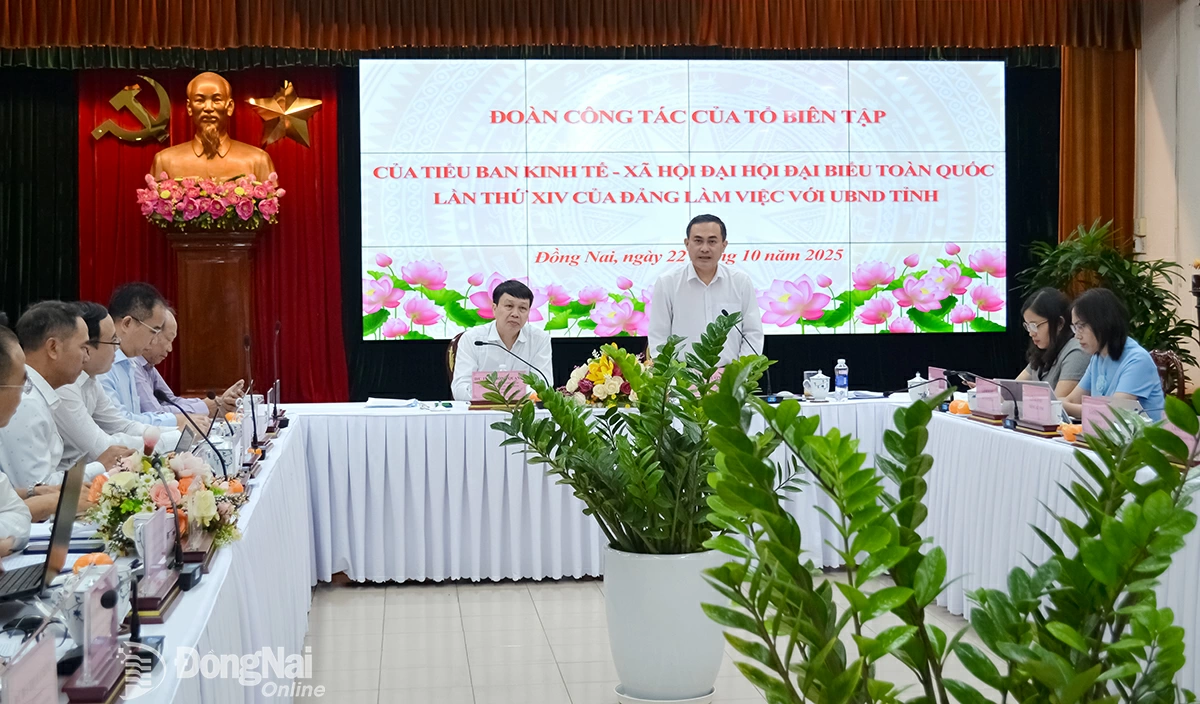 Le Truong Son, Member of the Provincial Party Standing Committee and Vice Chairman of the Dong Nai Provincial People’s Committee, speaks at the working session. Photo: Phuong Hang