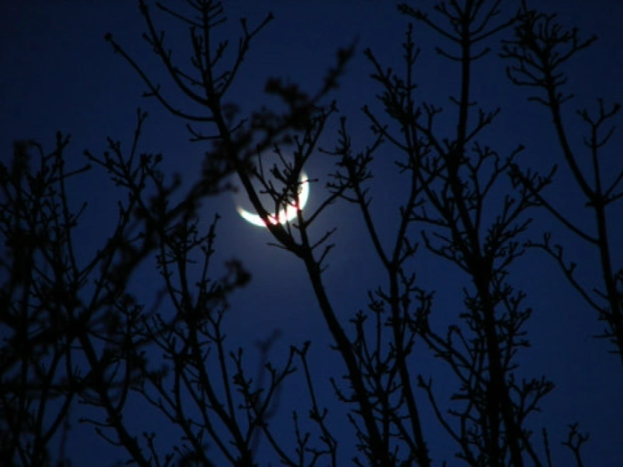 Ánh trăng khuyết… nhưng lòng người tròn đầy