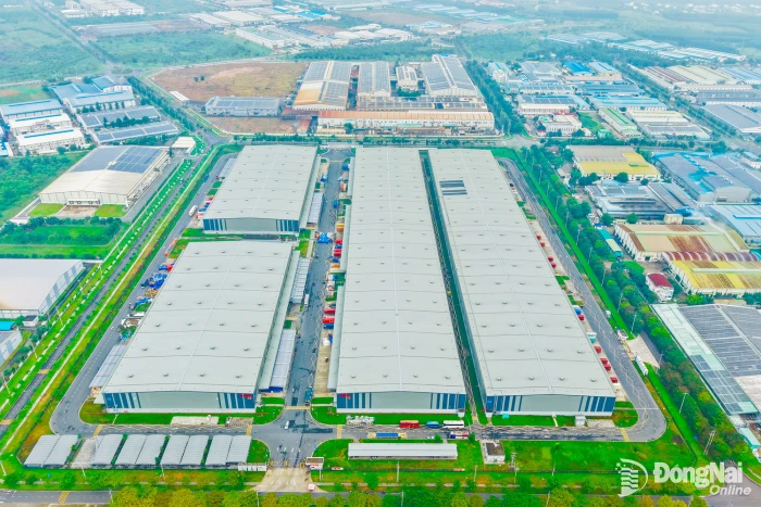Gỡ điểm nghẽn chính sách, thúc đẩy cộng sinh công nghiệp