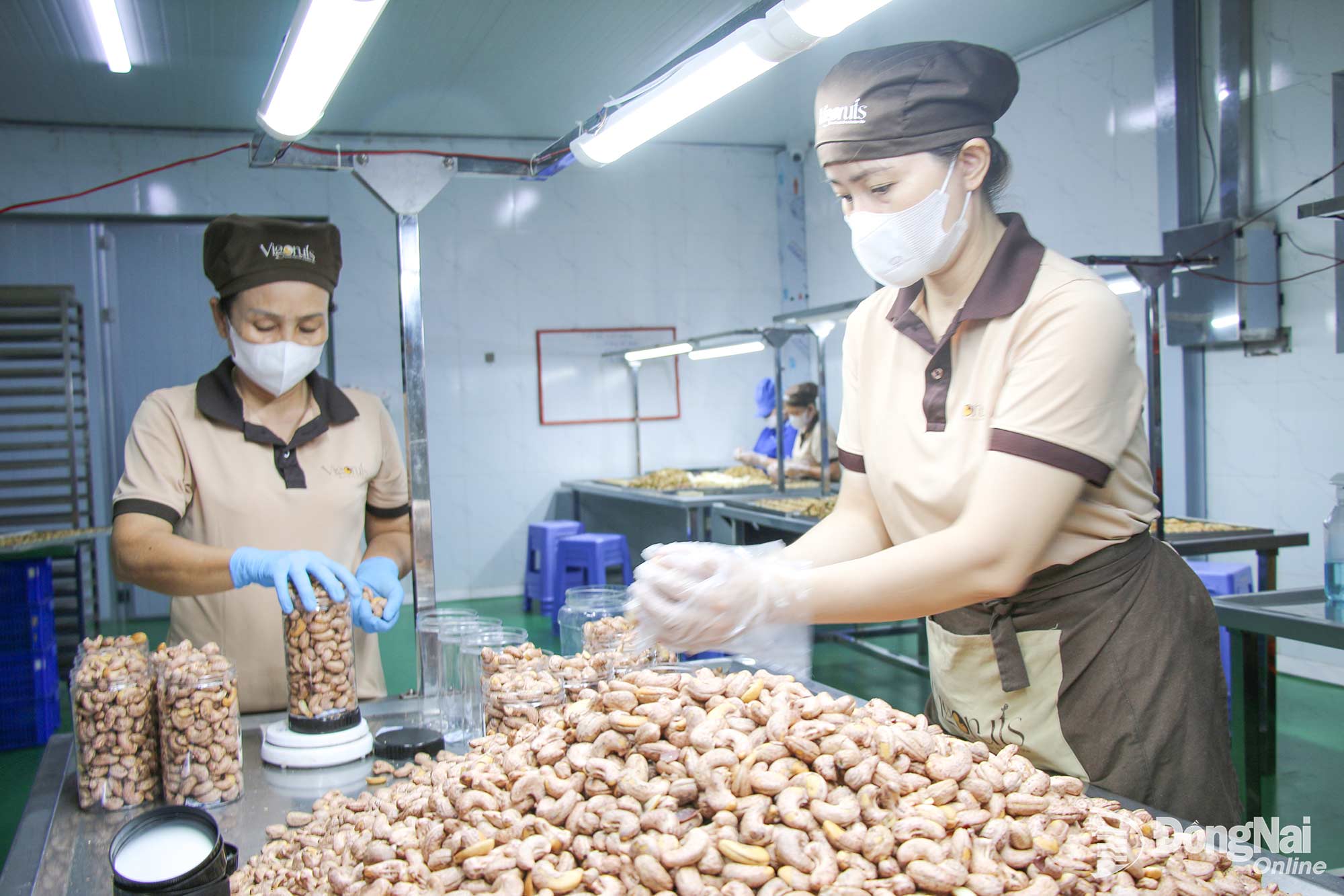 Sản xuất sản phẩm hạt điều tại một doanh nghiệp ở xã Xuân Hòa, thành phố Đồng Nai.