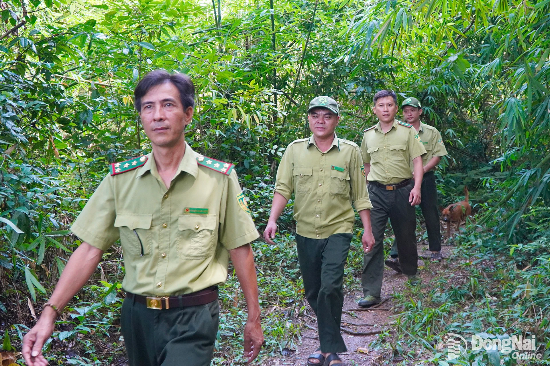 Lực lượng kiểm lâm của Khu Bảo tồn thiên nhiên - văn hóa Đồng Nai tuần tra tại khu vực có nhiều măng rừng.