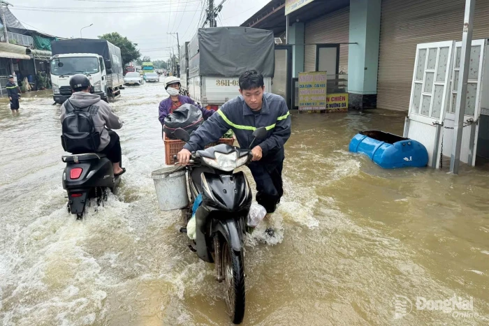 Nâng cao năng lực phòng thủ dân sự