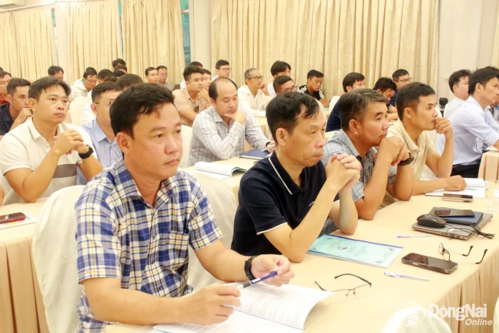 Nhịp sống địa phương ngày 8-10-2026