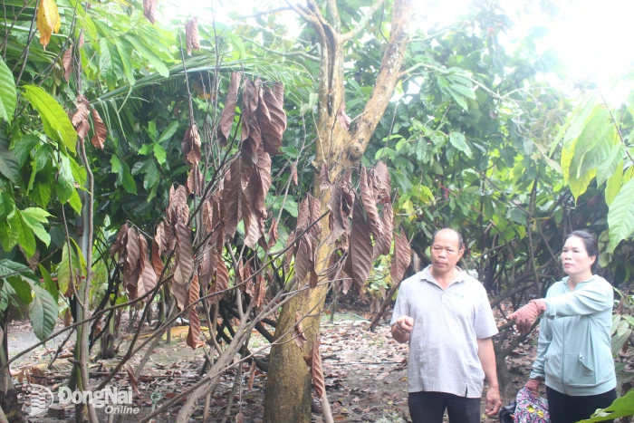 Bảo đảm quyền lợi người dân bị thiệt hại do thi công công trình gây ra