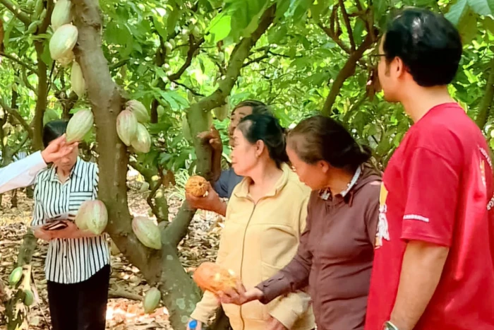 Khảo sát nhu cầu vay vốn ưu đãi