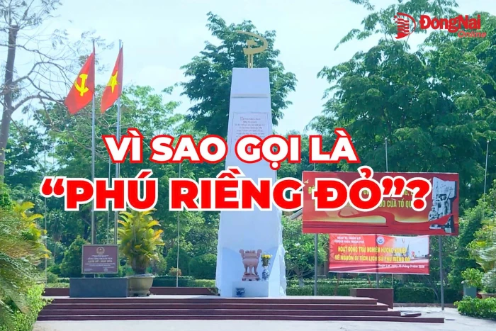 [Video] Vì sao gọi là ‘Phú Riềng Đỏ’?