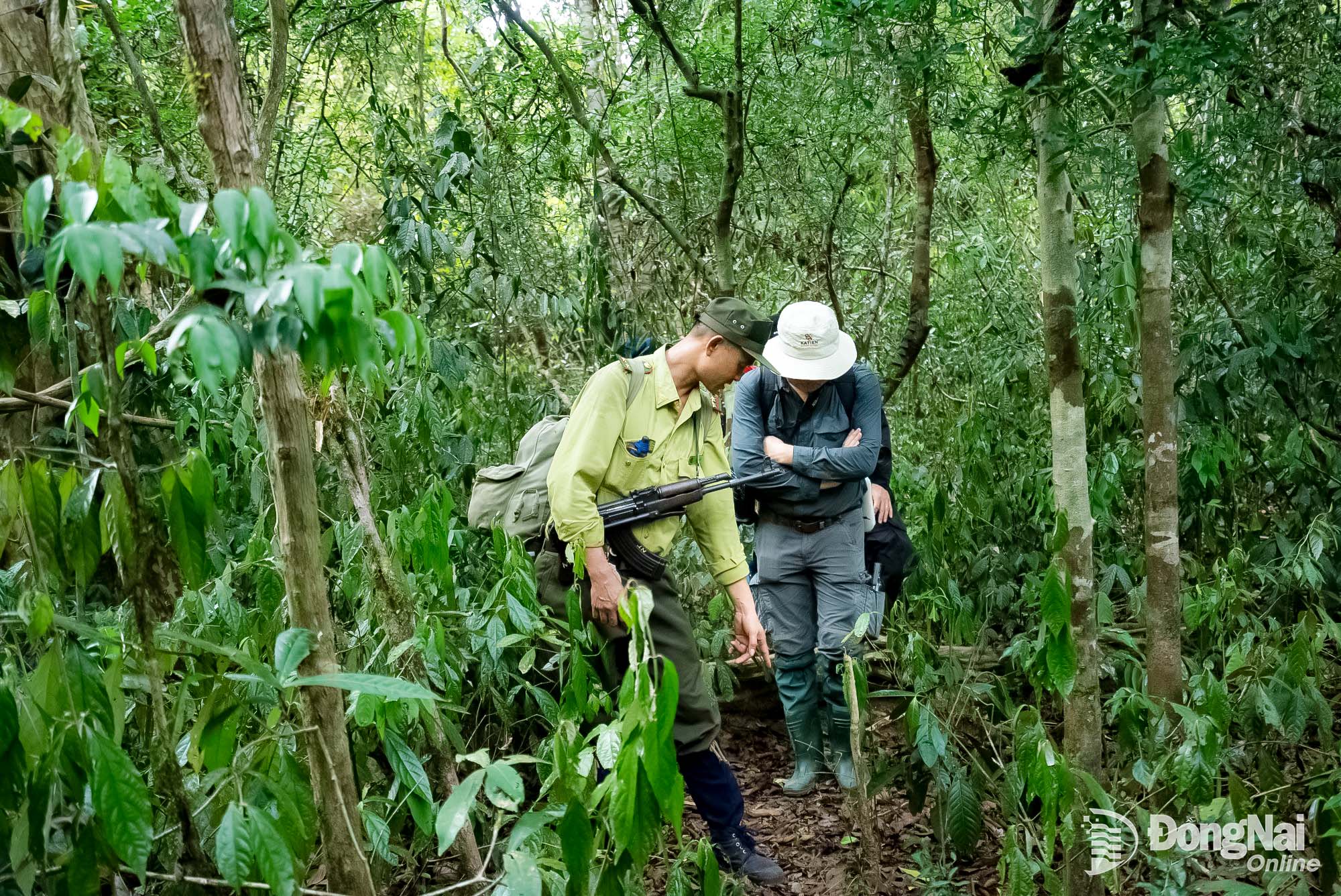 Rangers show visitors how to identify signs of wildlife and explain the challenges involved in forest protection, including illegal trapping. Photo: Oxalis